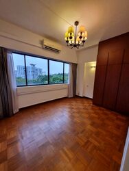 The Cairnhill (D9), Condominium #545755781